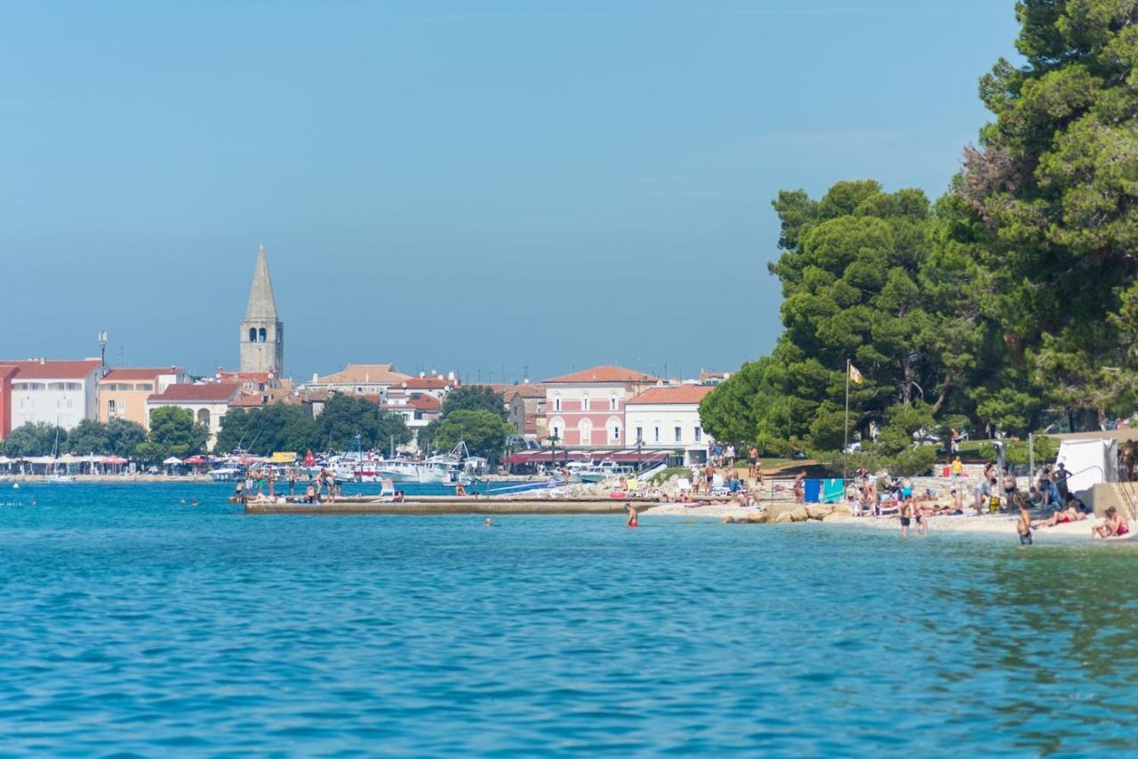 Spacious Three-Bedroom Villa Balun With Pool Porec Room photo